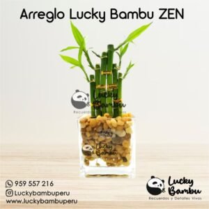 lucky bambu ZEN bamboo peru lima macetas regalos recuerdos corporativo