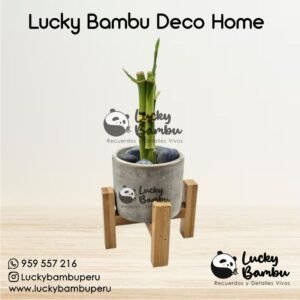lucky bambu deco home bamboo peru lima macetas regalos recuerdos corporativo