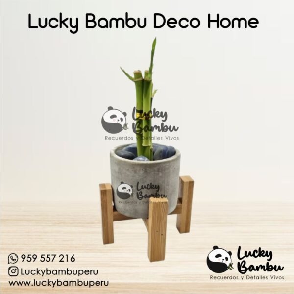 lucky bambu deco home bamboo peru lima macetas regalos recuerdos corporativo
